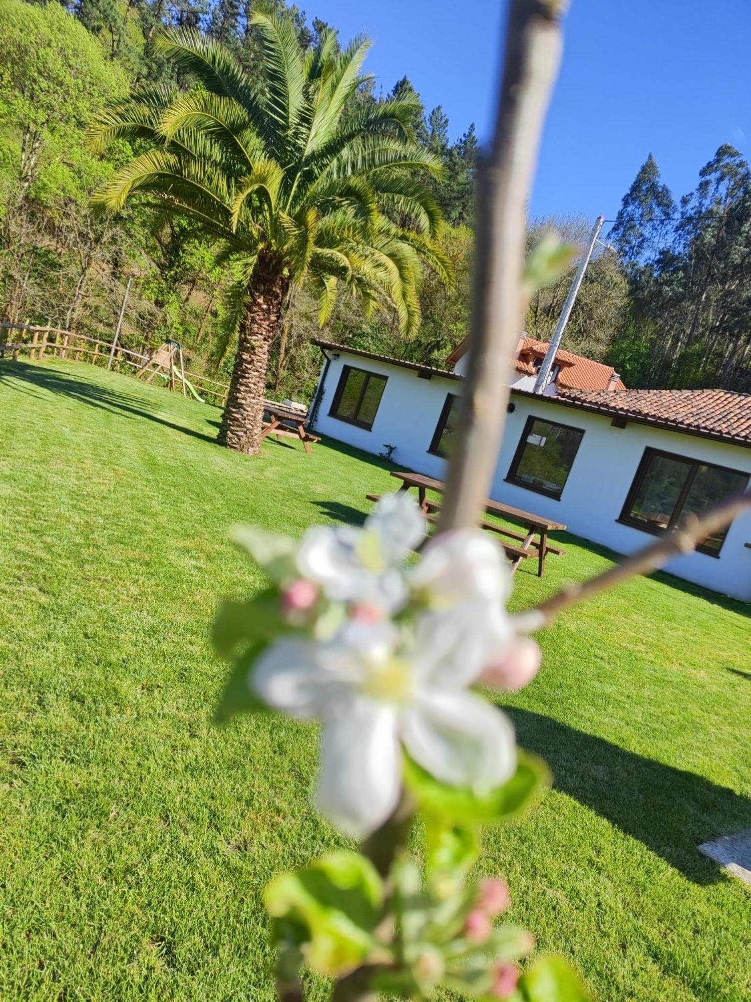 Reguero Gato Turismo Rural Candamin Buitenkant foto